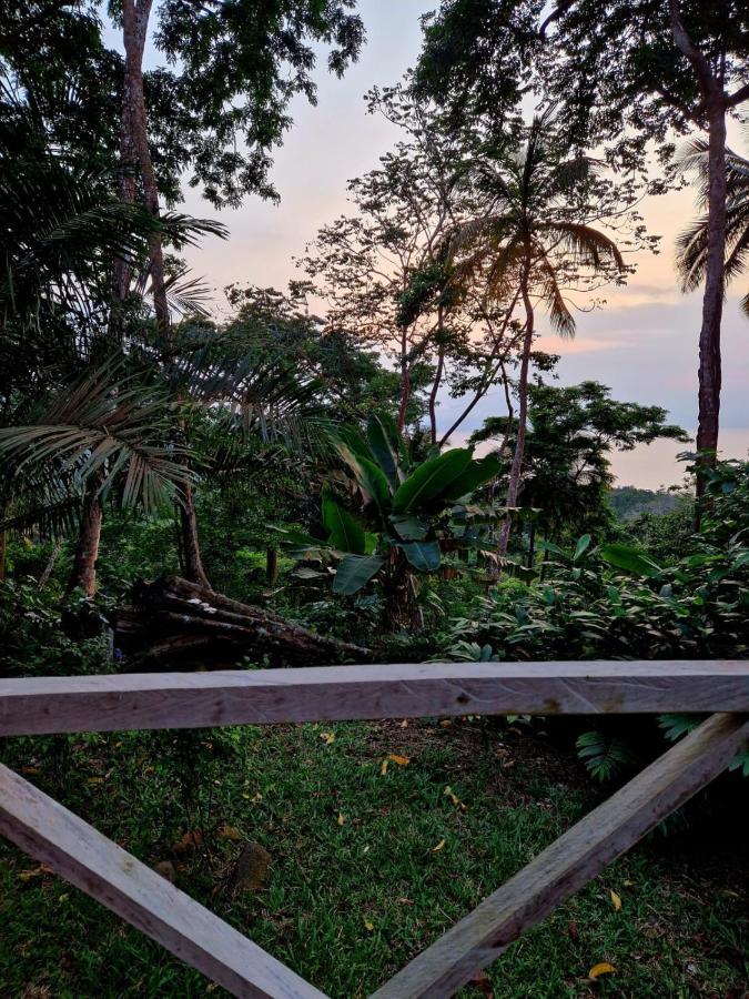 World'S View Wild Camping Salaszoi, Principe Island Santo Antonio ภายนอก รูปภาพ